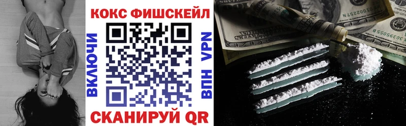 COCAIN Fish Scale  Купить закладки  Усть-Джегута 