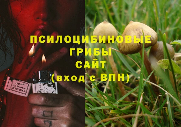 Альфа ПВП Аркадак