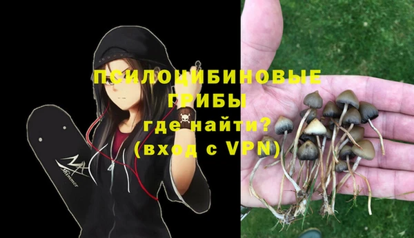 гашиш Арсеньев
