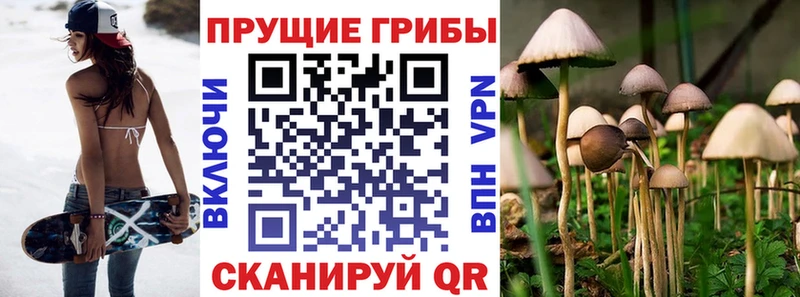 Купить где  Усть-Джегута  Псилоцибиновые грибы ЛСД 