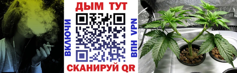 Шишки марихуана THC 21%  Купить где  Усть-Джегута 